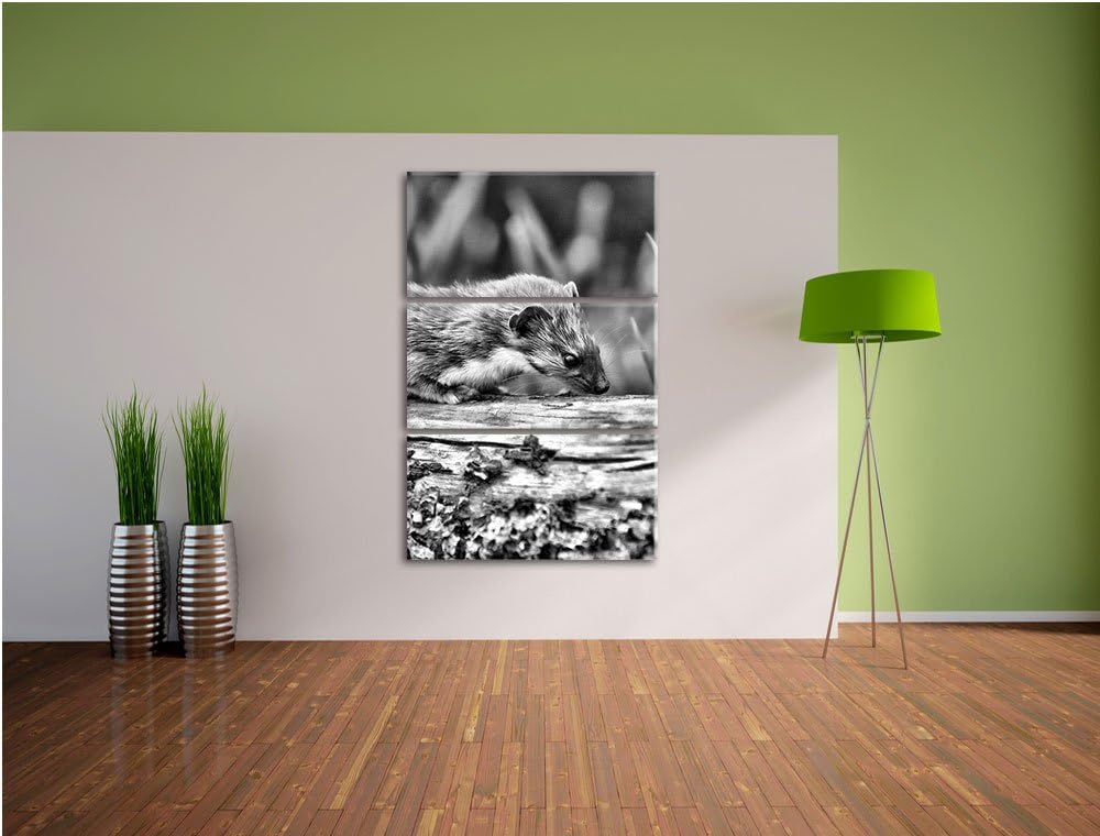 Pixxprint Frettchen auf Baumstamm als Leinwandbild/Grösse: 3 Teilig (120x80) / Wandbild/Kunstdruck/f