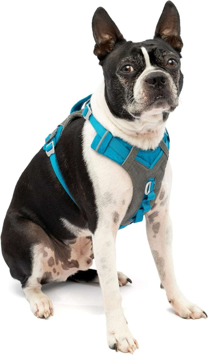 Kurgo Journey Air Hundegeschirr, Mit gepolstertem Brustteil und Rückgriff, Für Hunde von 5-11 kg, Gr