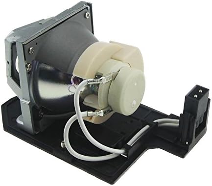Huaute BL-FP230D Projektor-Ersatzlampe mit Gehäuse für Optoma HD20 HD200X TX612 TX615 EX612 EX615 HD