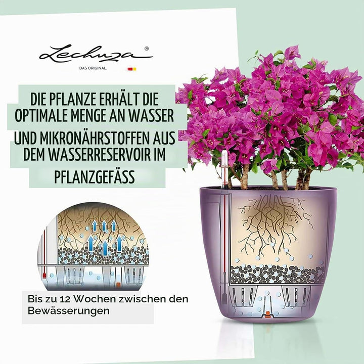 LECHUZA CLASSICO Premium LS 35 schwarz hochglanz 16069 36x36x32.5 cm Schwarz Hochglanz Single, 36x36