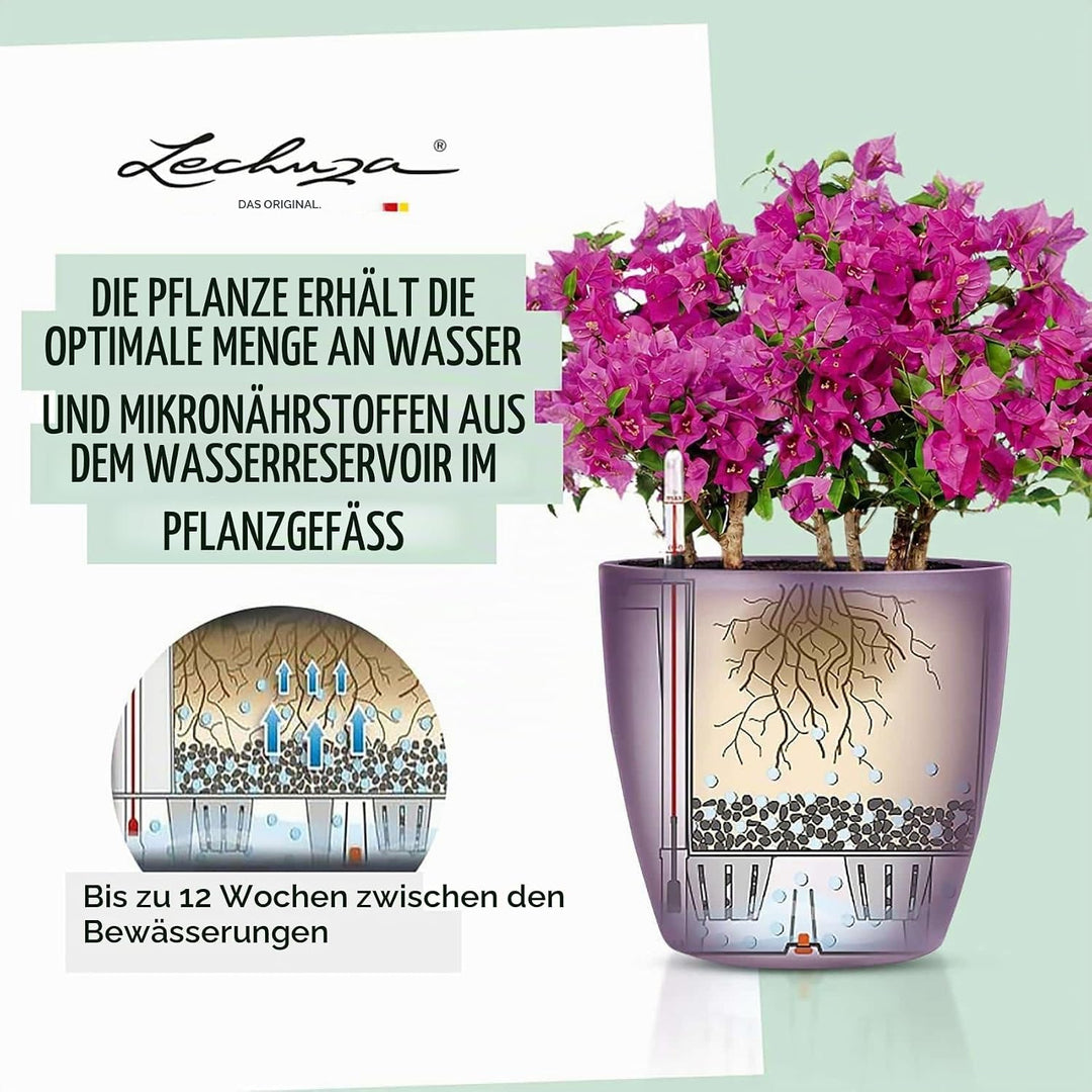 LECHUZA CLASSICO Premium LS 50 schwarz hochglanz 16109 49.5x49.5x46.5 cm Schwarz Hochglanz Einzel, 4