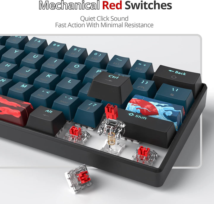 SOLIDEE mechanische gaming tastatur 60 prozent,61 Tasten kompakte mechanische tastatur RGB Hintergru