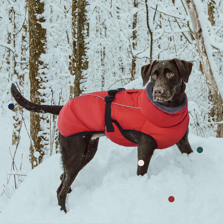 IECOii Extra warmer Hundemantel, reflektierend, verstellbar, mit Schnalle, Fleece-Rollkragen für kal