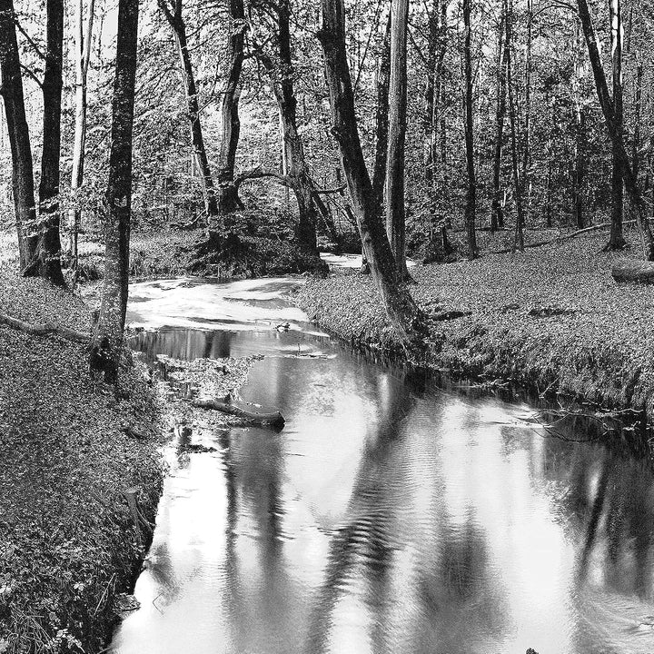 Runa Art Bild Schlafzimmer Wohnzimmer Wald Landschaft 5 Teilig Fluss Grau Wandbilder auf Vlies Leinw