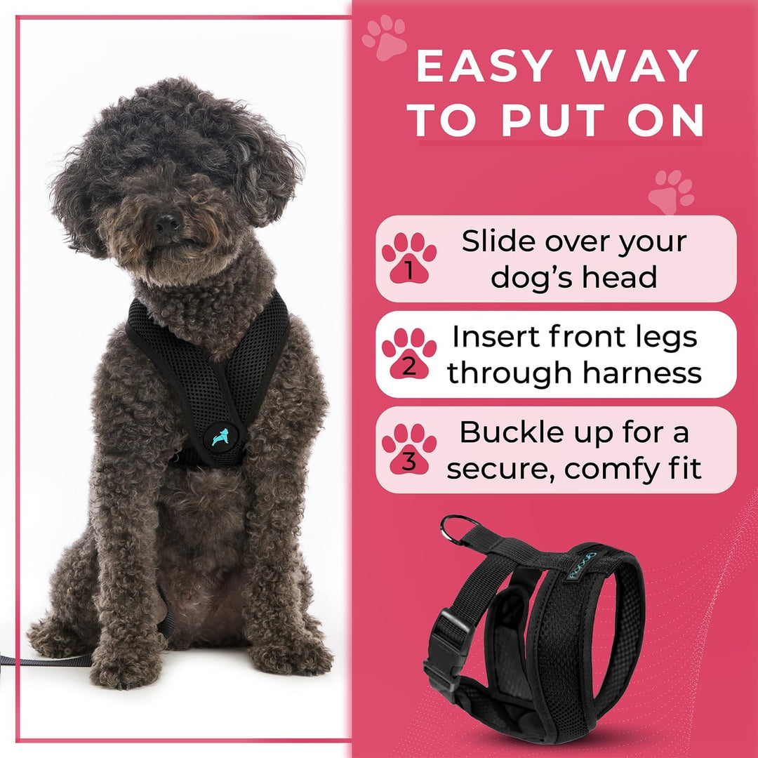 Gooby Choke Free Comfort X Hundegeschirr, weich, Grösse S, Schwarz 11.75-15.5" schwarz, 11.75-15.5"