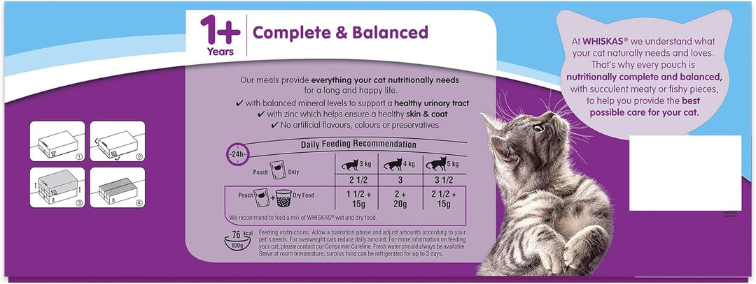 Whiskas Pouches Jelly Fishermans Choice Packung Nass Katzenfutter (40 x 100g) (Einheitsgrösse) (Fish