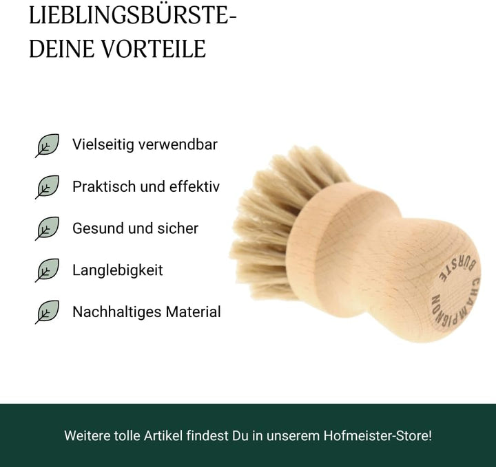 HOFMEISTER Champignongbürste, Pilzbürste – zur sanften Reinigung von Pilzen oder Gemüse, aus weichem