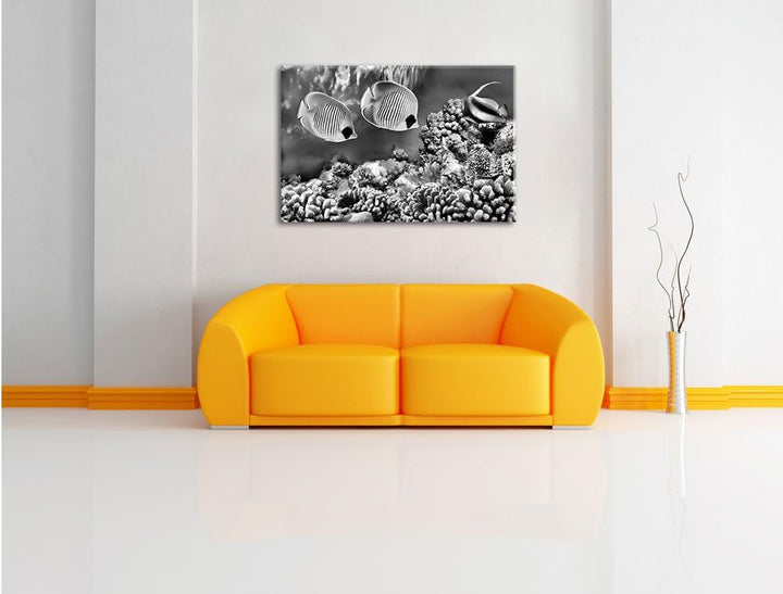 Pixxprint Tropen Fische / 100x70cm Leinwandbild bespannt auf Holzrahmen/Wandbild Kunstdruck Dekorati