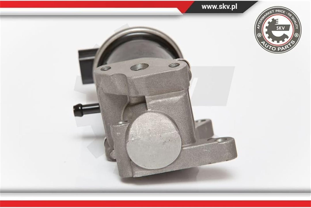 ESEN SKV 14SKV074 AGR-Ventile