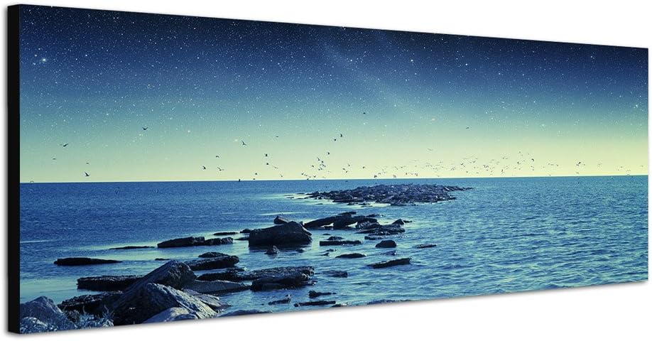 Paul Sinus Art Panoramabild auf Leinwand und Keilrahmen 150x50cm Meer Steine Vögel Morgengrauen Ster