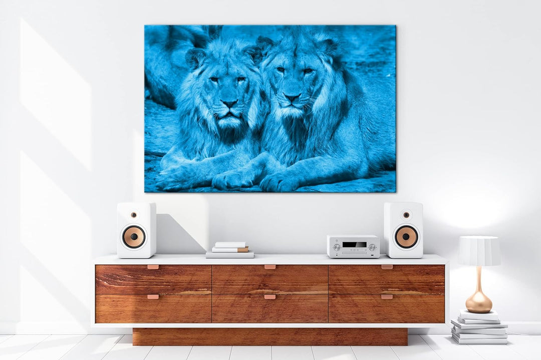 deyoli Atemberaubende Löwen Format 100x70 Effekt: Monocrome Blau als Leinwandbild, Motiv fertig gera