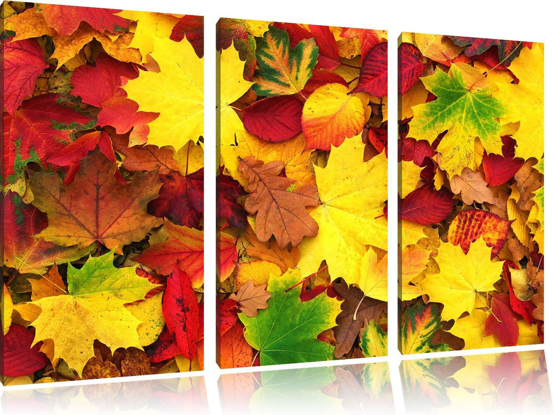 Pixxprint Herbstblätter / 3-Teilig/Gesamtmass 120cm Leinwandbild bespannt auf Holzrahmen/Wandbild Ku