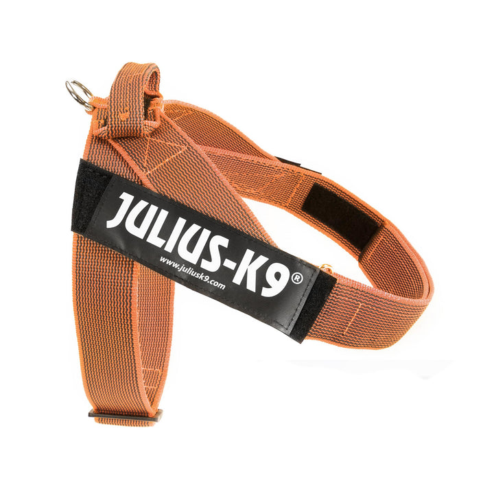 Julius-K9, Color & Gray, Beltgeschirr XL / 2 orange-grau, XL / 2 orange-grau