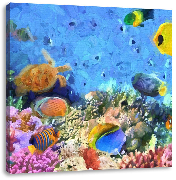 Pixxprint Fische im Korallenriff als Leinwandbild Quadratisch/Grösse: 70x70 / Wandbild/Kunstdruck/fe
