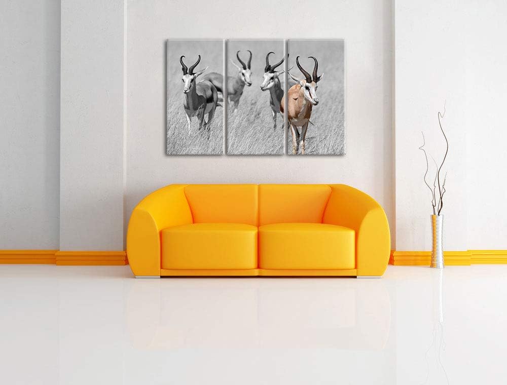 Tiere in Savanne, Rehe, Afrika schwarz/weiss 3-Teiler Leinwandbild 120x80 Bild auf Leinwand, XXL rie
