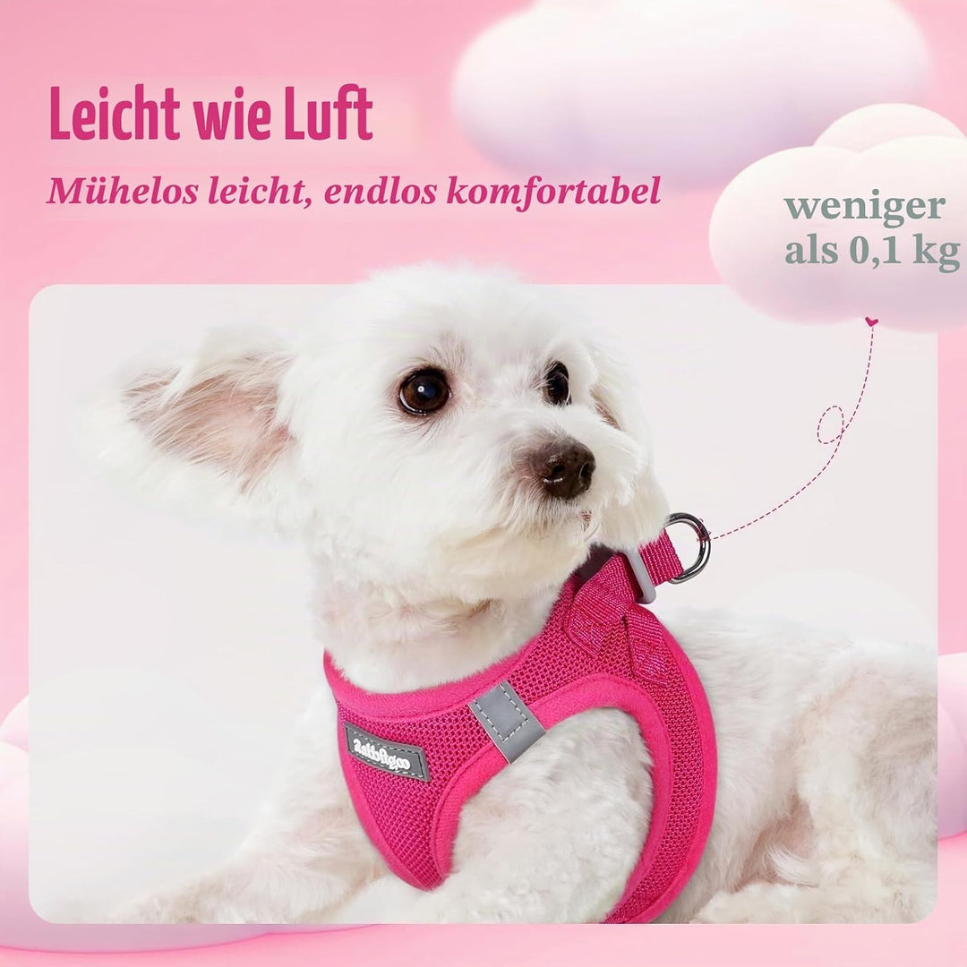 rabbitgoo Hundegeschirr Kleine Hunde mit Leine, Step-in Welpengeschirr Weich Mesh für Spaziergänge,