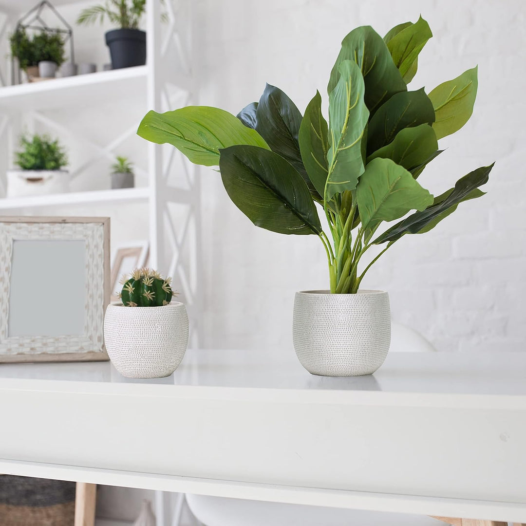 Olly & Rose Barcelona Keramik-Blumentopf-Set 2 – Pflanzgefässe für drinnen und draussen (weiss), Wei