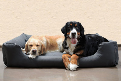 tierlando Moritz Hundebett Hundesofa M - XXXL 90 110 130 160 185 cm Grösse: M3 / M 80cm | Bezug: Pol