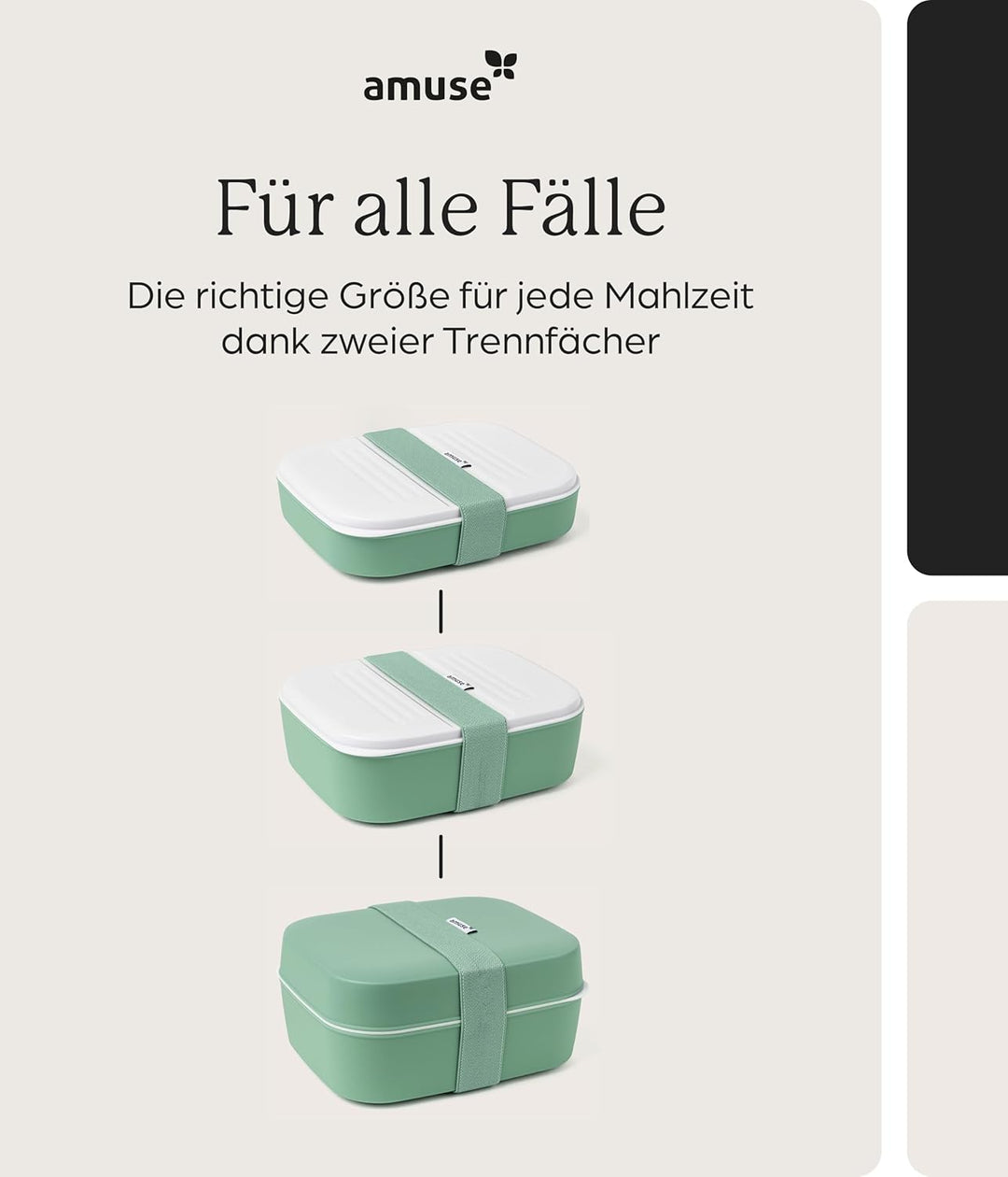 Amuse Lunchbox Erwachsene | Salat To Go Box, Brotdose Erwachsene oder Jausenbox Kinder | Bento Box |