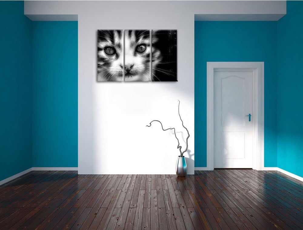 Pixxprint süsses junges Kätzchen als Leinwandbild/Grösse: 3 Teilig (120x80) cm/Wandbild/Kunstdruck/f