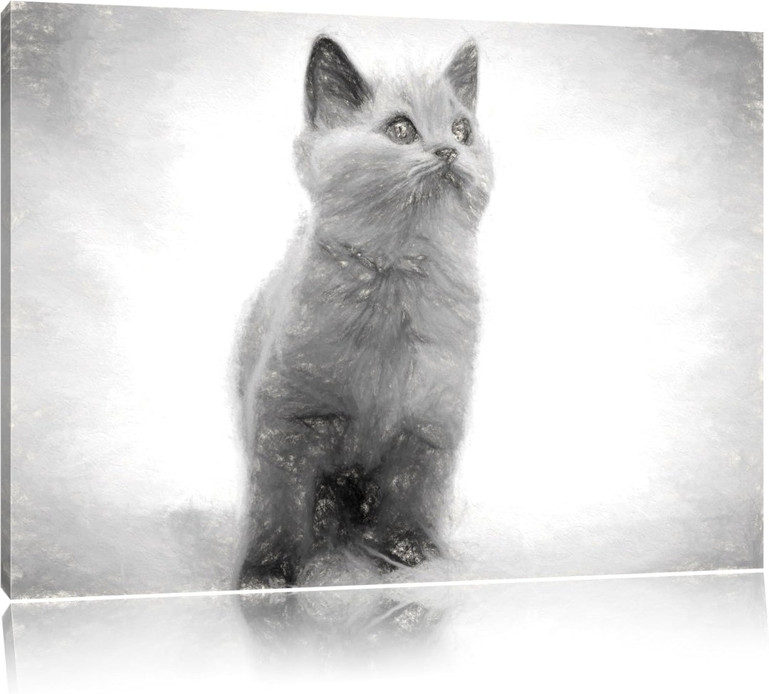 Pixxprint Niedliches Katzenbaby auf Teppich als Leinwandbild/Grösse: 100x70 cm/Wandbild/Kunstdruck/f