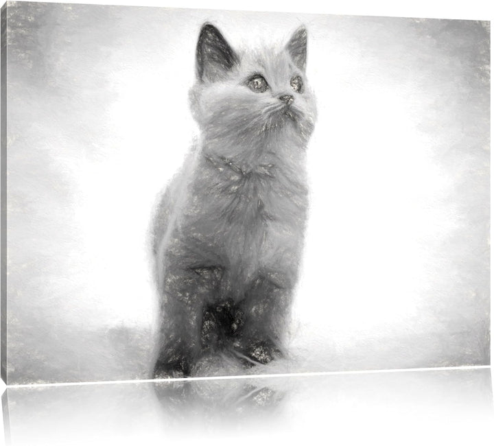 Pixxprint Niedliches Katzenbaby auf Teppich als Leinwandbild/Grösse: 100x70 cm/Wandbild/Kunstdruck/f