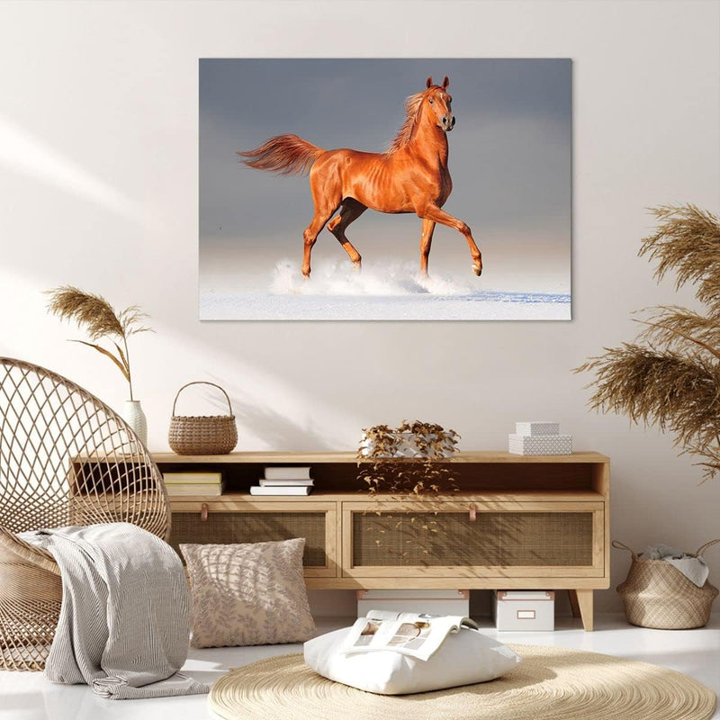 Bilder auf Leinwand 100x70cm Leinwandbild Tiere Pferd Galopp Geschwindigkeit Gross Wanddeko Bild Sch