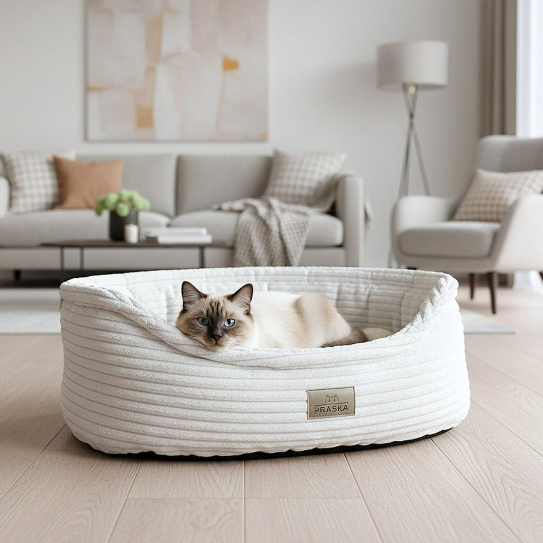 PRASKA Katzenbett Hugo – Premium Haustierbett für Katzen & kleine Hunde, Gemütliches Tierbett mit ho