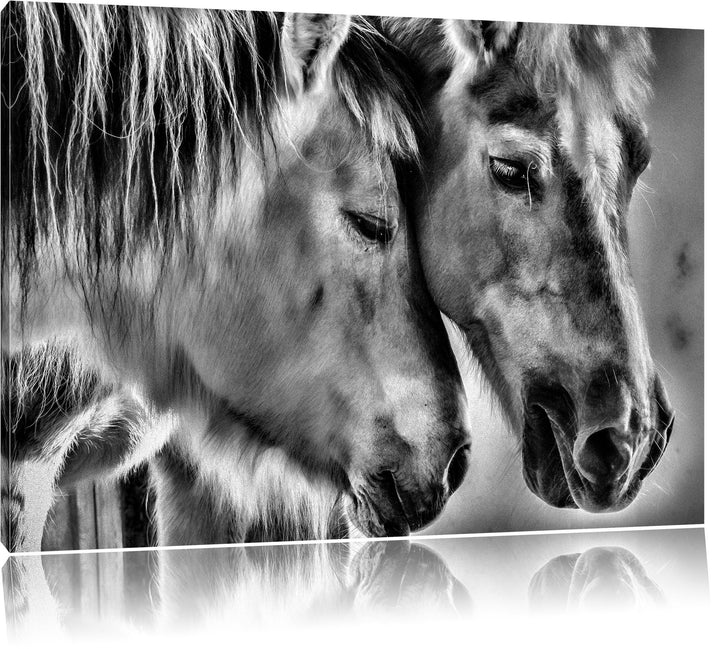 Pixxprint Monocrome, Zwei liebevolle Pferde, Format: 100x70 auf Leinwand, 100x70