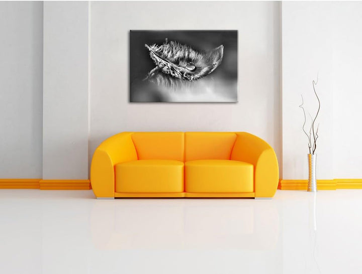 Pixxprint Wassertropfen auf Feder als Leinwandbild | Grösse: 100x70 cm | Wandbild | Kunstdruck | fer