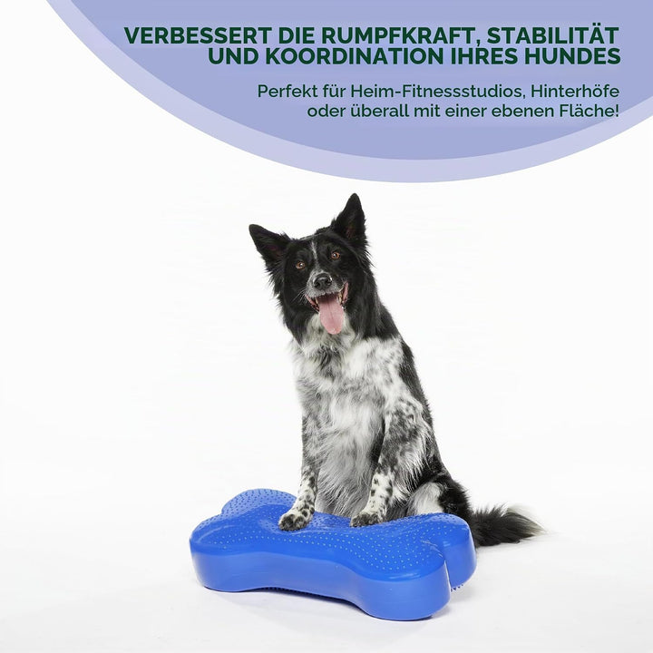 Ball Dynamics FPK9BONE BL K9FITbone, Balance - Trainingsgerät, 58 x 29 x 10m, himmelblau