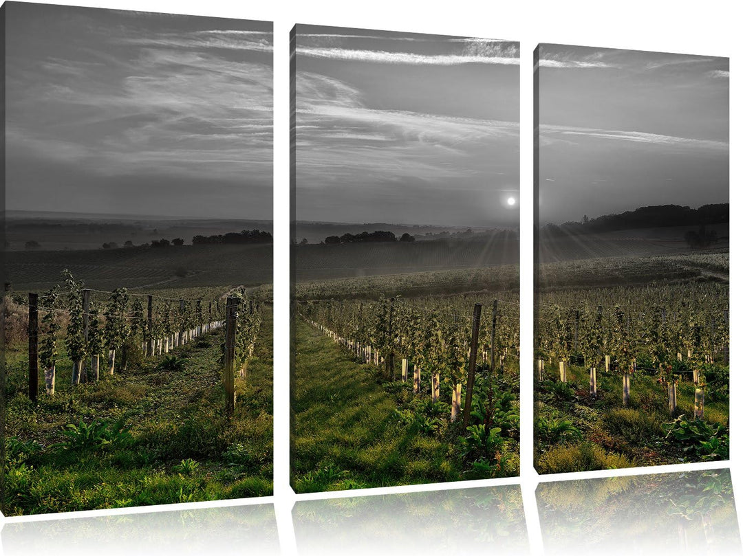 Pixxprint Weinberg in Bergerac Frankreich / 3-Teilig/Gesamtmass 120cm Leinwandbild bespannt auf Holz