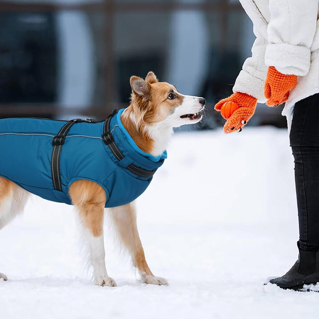 Kuoser Hundemantel für Grosse Hunde Winter, wasserdichte Hundejacke mit Geschirr, Warmer Hunde Winte