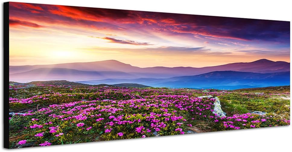 Paul Sinus Art Panoramabild auf Leinwand und Keilrahmen 150x50cm Blumenwiese Berge Abendrot Sonnenst