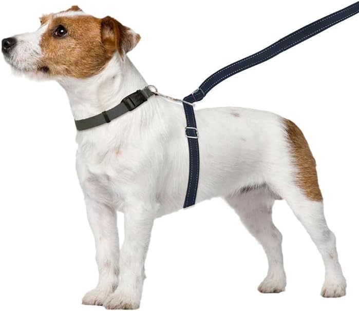 ThunderLeash Hundeleine, Nicht zu ziehen, Grösse L (über 11,3 kg), Schwarz Large (Over 25 lbs), Larg