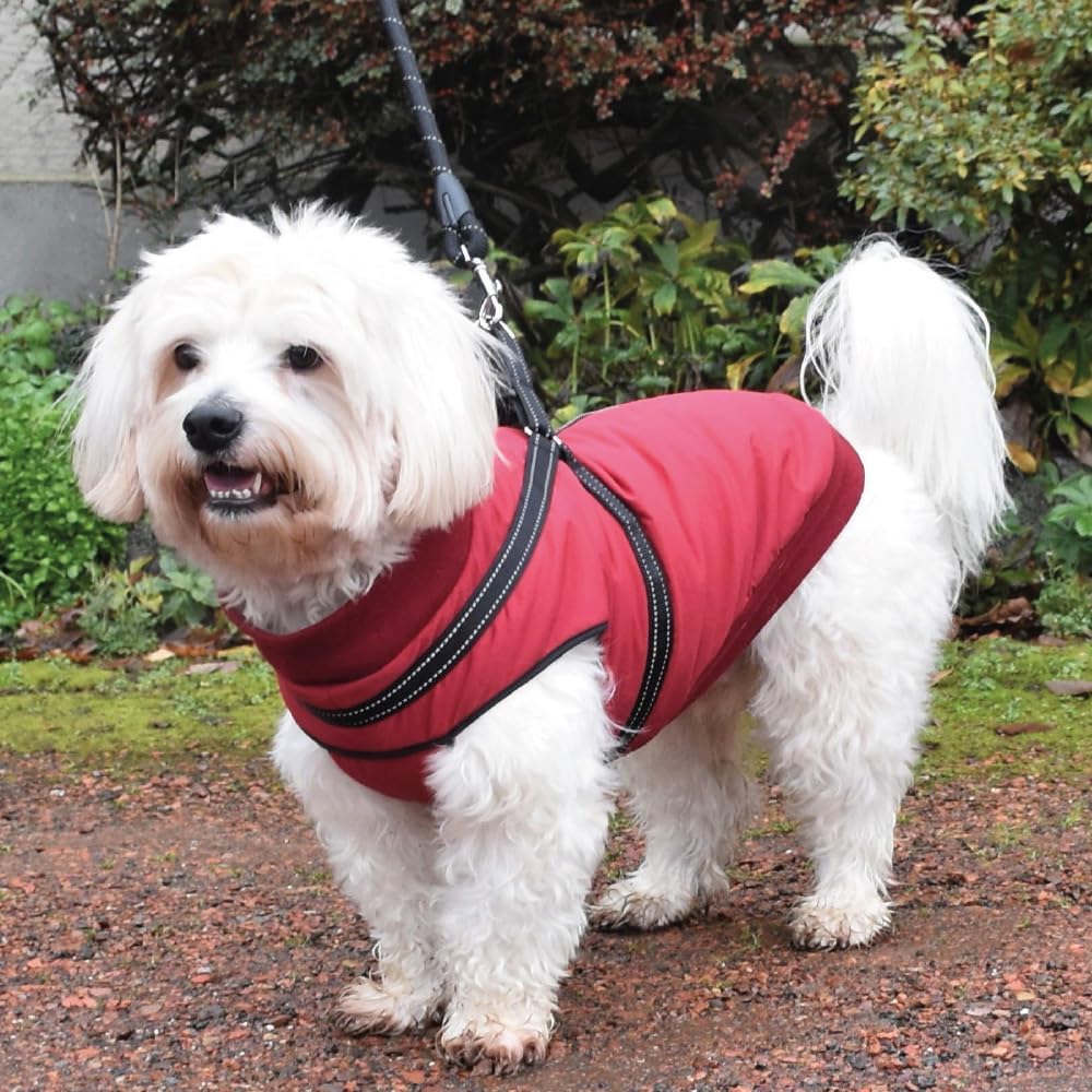Bobby Safe Hundemantel mit integriertem Geschirr, Rückenlänge 32 cm, Fleece-Innenfutter, Reissversch