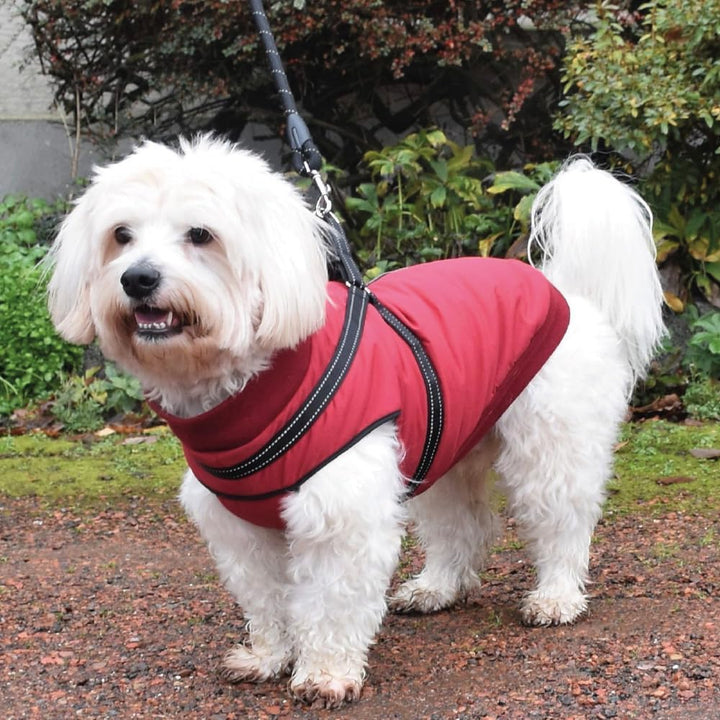 Bobby Safe Hundemantel mit integriertem Geschirr, Rückenlänge 32 cm, Fleece-Innenfutter, Reissversch