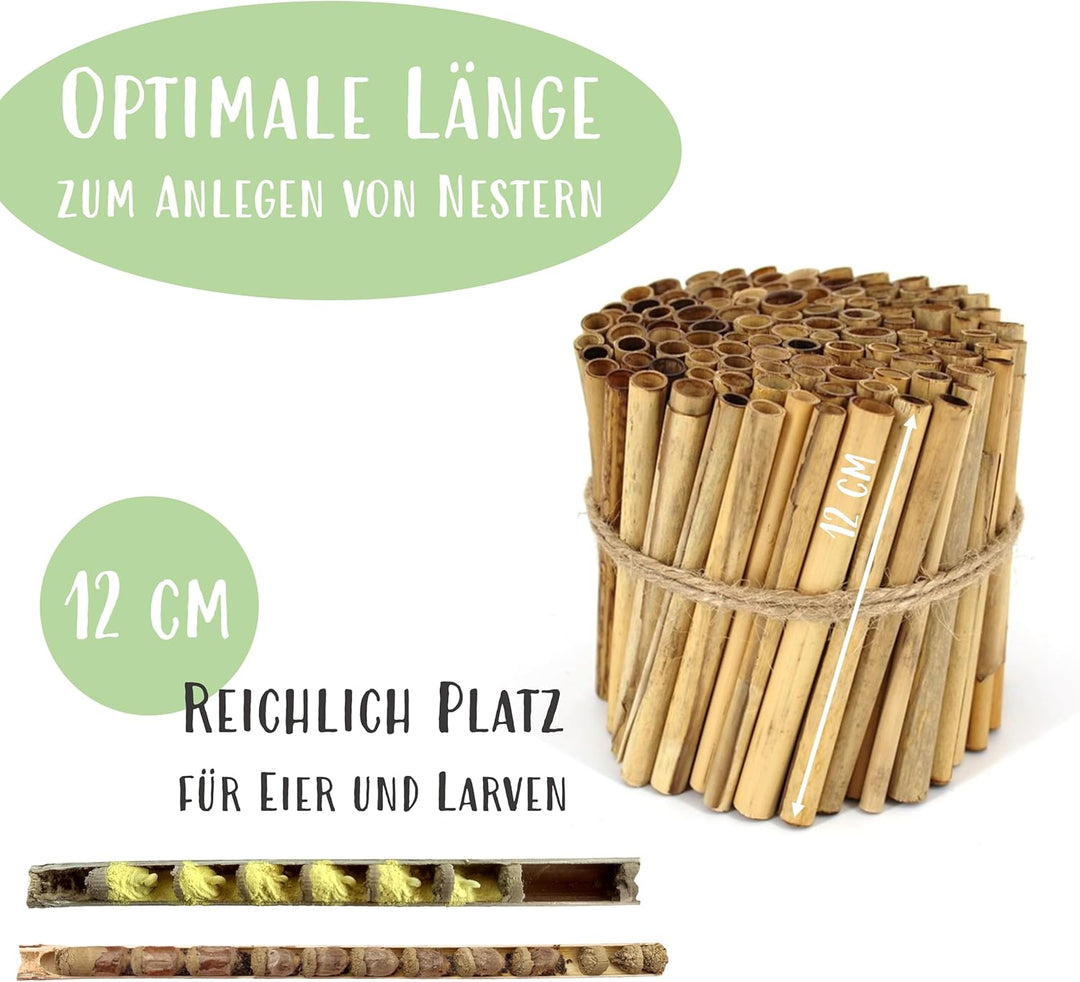 Schilfröhrchen für Insektenhotels, Länge 12 cm, Durchmesser 3-10 mm, ca. 400 Stück, Röhrchen aus der