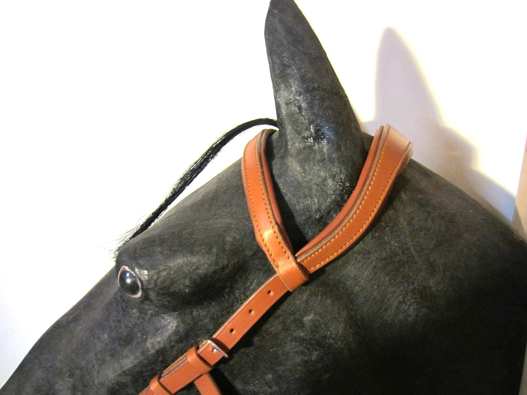 PS Pferdeartikel Kopfstück - Anatomic Bridle Arrimar für Gebisslose Zäumungen & Trensen Cob - Farbe