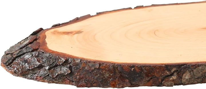 Bütic Holzscheibe Esche oval lackiert B-Ware - Rindenscheibe Baumscheibe Holzbrett ca. 60 x 20 cm, c