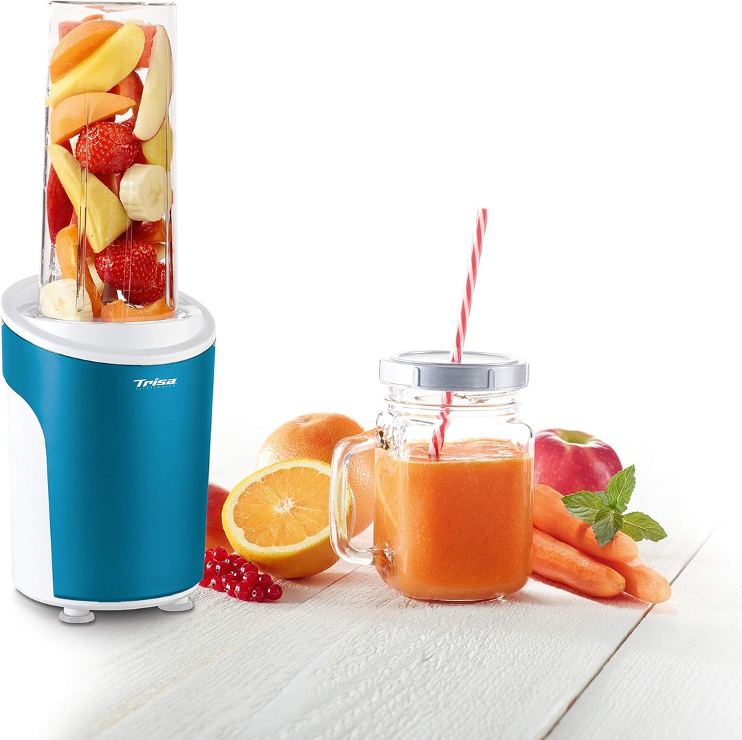 6930.1210 Standmixer