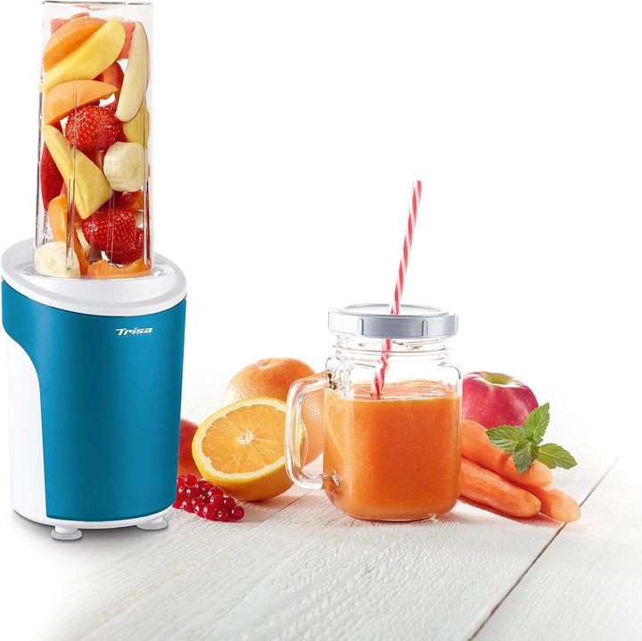 6930.1210 Standmixer