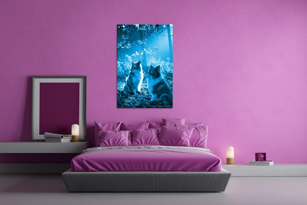 deyoli zwei treue Collies im Wald Format 80x60 Effekt: Monocrome Blau als Leinwandbild, Motiv fertig