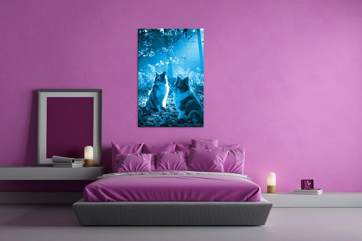 deyoli zwei treue Collies im Wald Format 80x60 Effekt: Monocrome Blau als Leinwandbild, Motiv fertig
