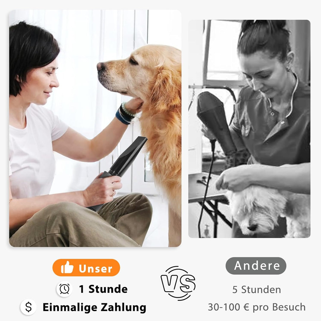 Hundefön Blower Sehr Leise 3000W Einstellbare Geschwindigkeit, Hundepflege-Trockner-Gebläse mit 4 ve