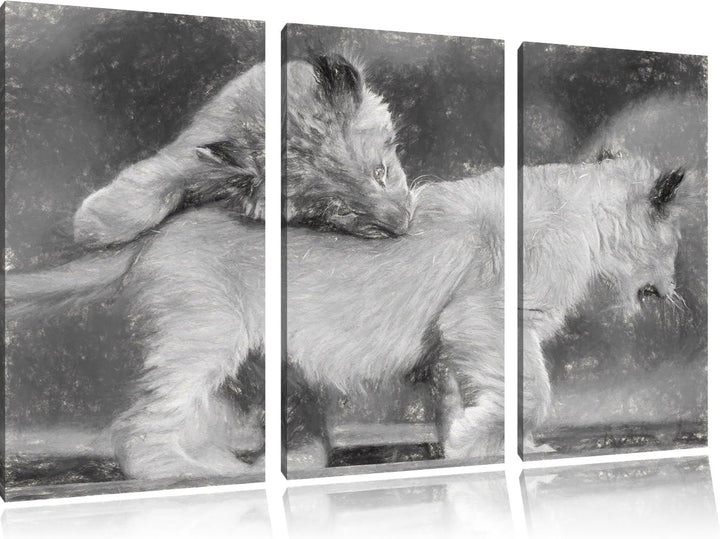 Löwenjunge beim Spielen Spezial 3-Teiler Leinwandbild 120x80 Bild auf Leinwand, XXL riesige Bilder f