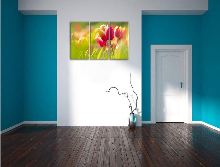 Pixxprint Blühende rote Tulpen als Leinwandbild/Grösse: 3 Teilig (120x80) / Wandbild/Kunstdruck/fert