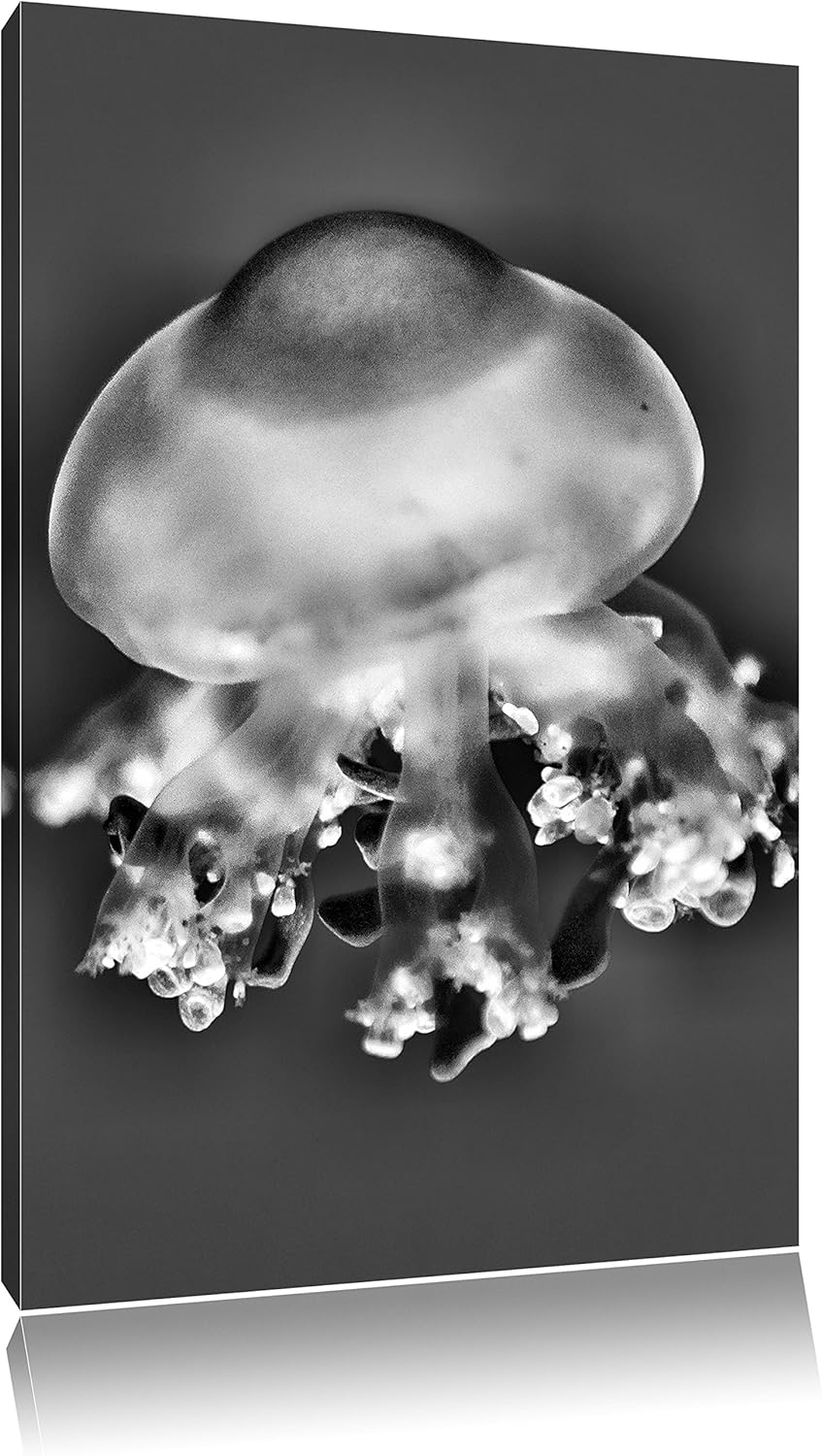 Monocrome, Qualle im Meer, Format: 100x70 auf Leinwand, XXL riesige Bilder fertig gerahmt mit Keilra