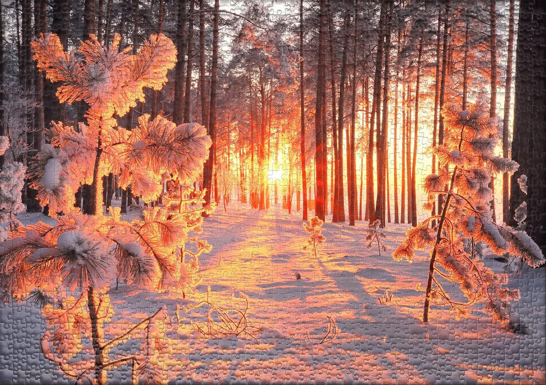 Ulmer Puzzleschmiede - Puzzle „Wintersonne“ - Klassisches 1000 Teile Jahreszeiten-Puzzle - Schnee-La
