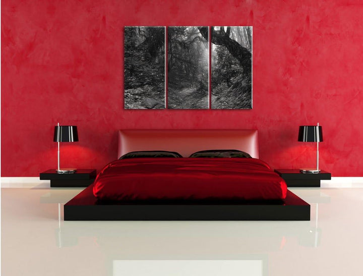 Pixxprint Mystischer Regenwald als Leinwandbild/Grösse: 3 Teilig (120x80 cm) cm/Wandbild/Kunstdruck/
